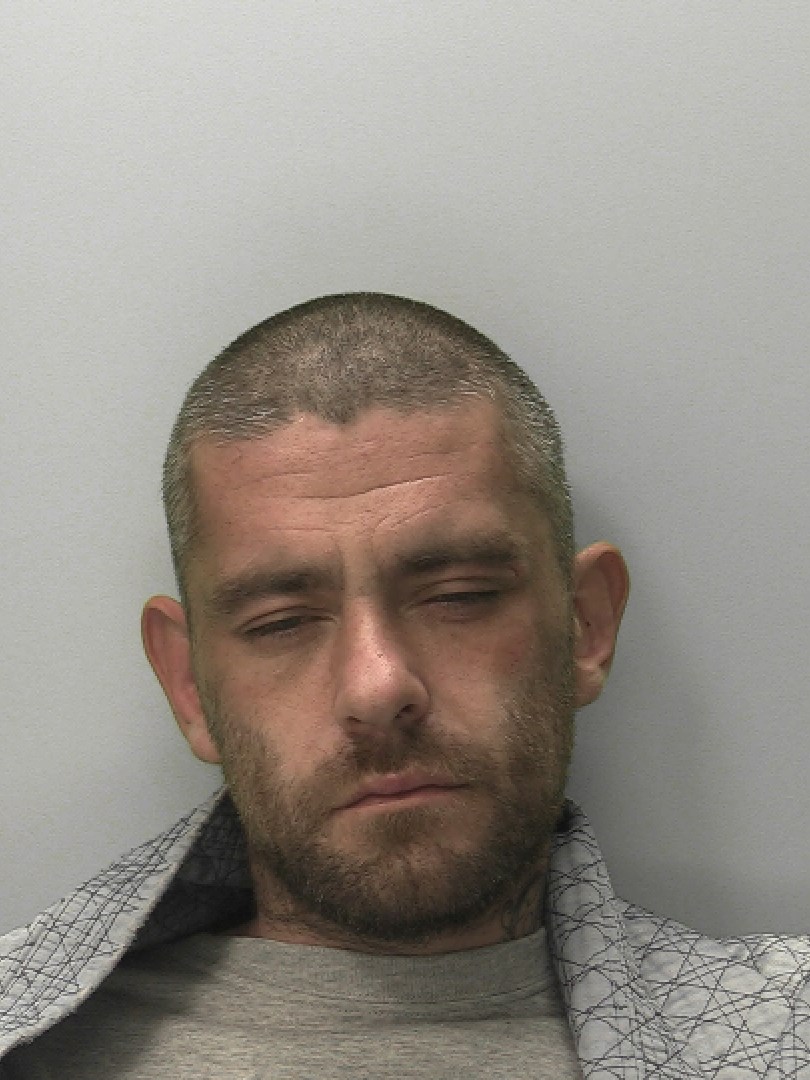 Photo of Wade Robinson