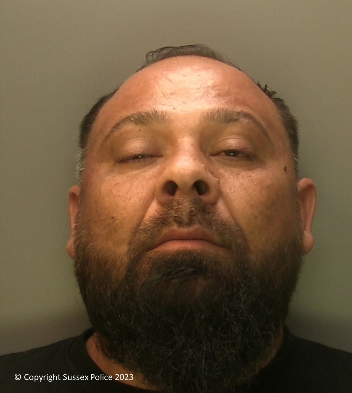 Photo of Ion Rudacan