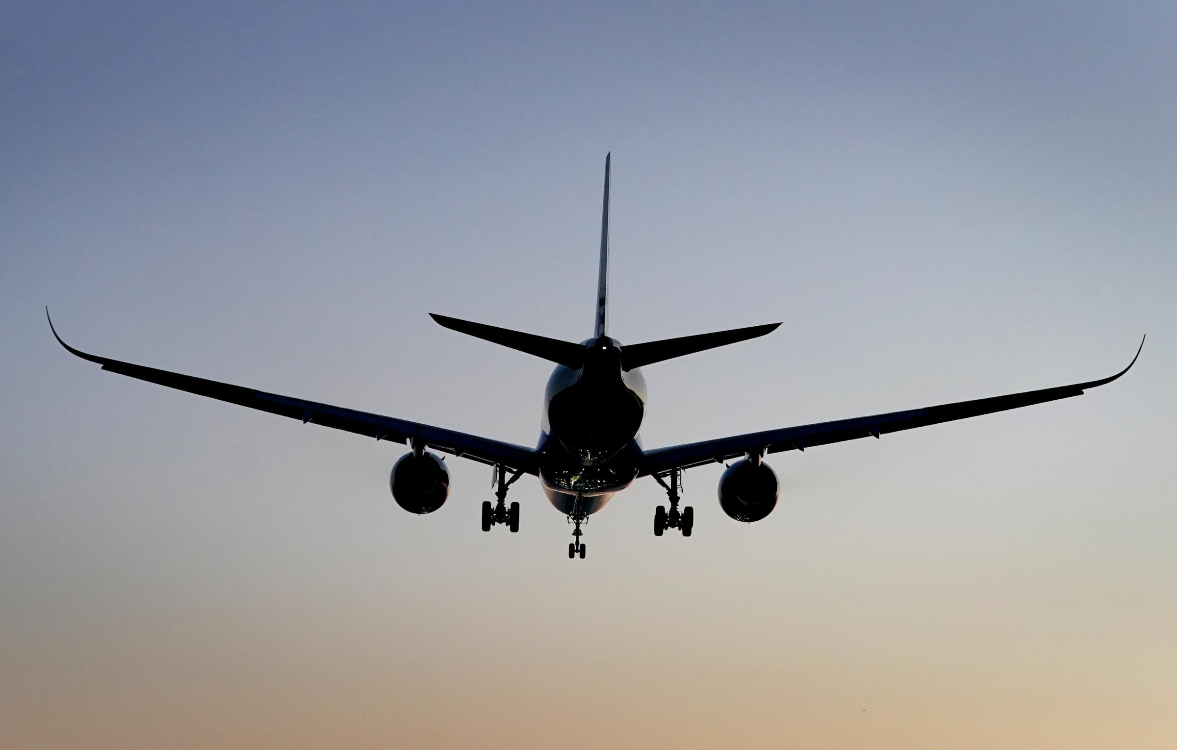 Photo of William Gonzalez