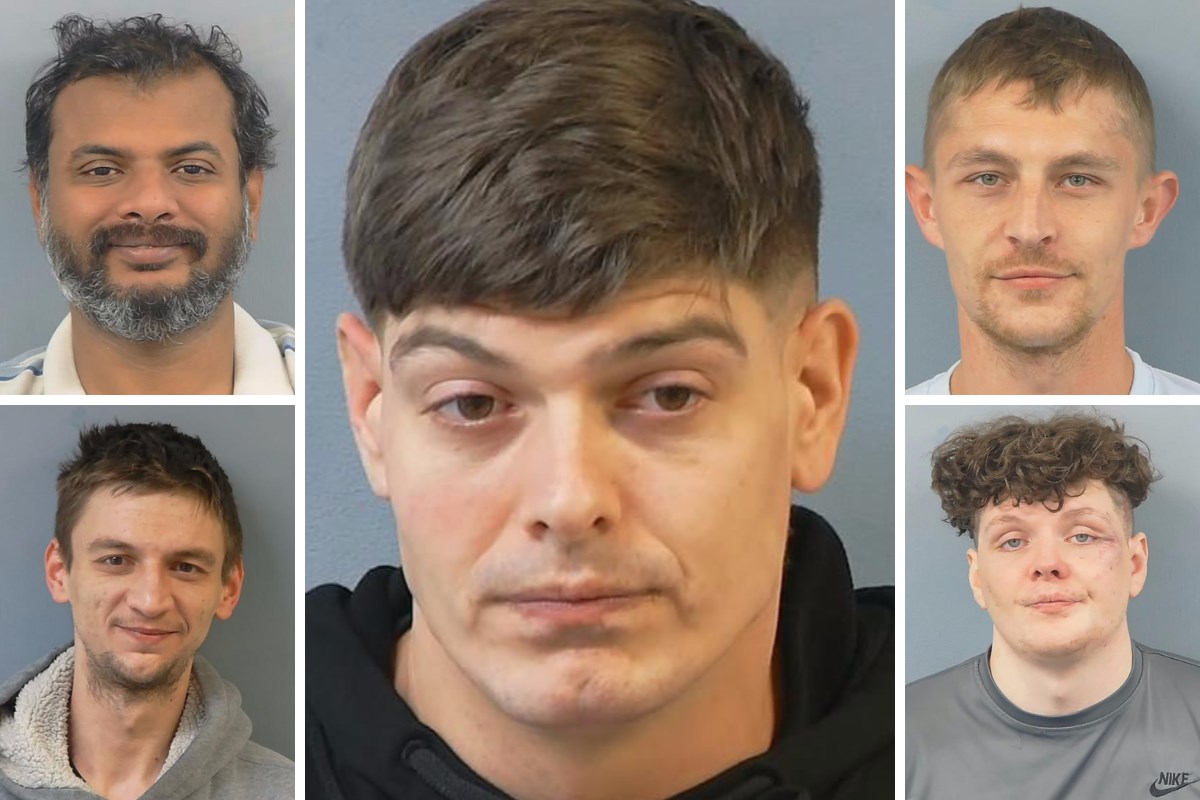 Photo of Liam Hibberd