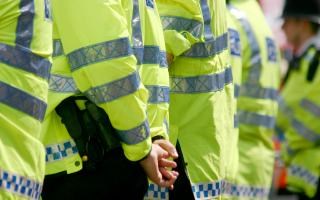 Photo of Sean Roberts