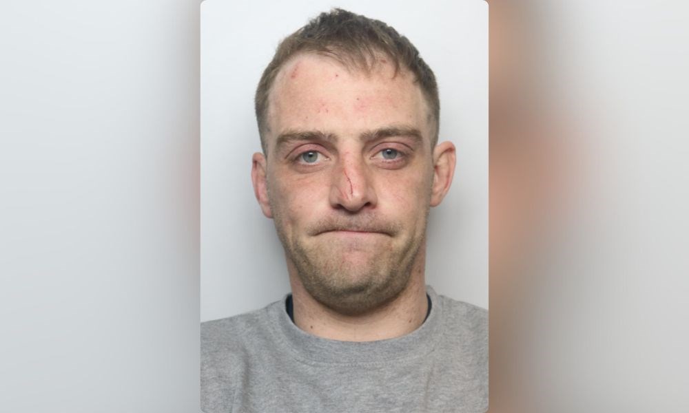 Photo of Ashley Payne