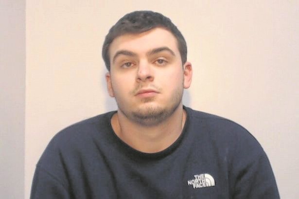 Photo of Steven Collins