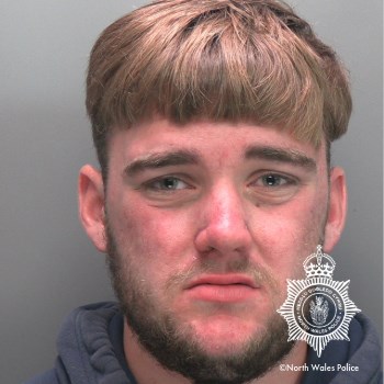 Photo of Morgan Lewis-Williams